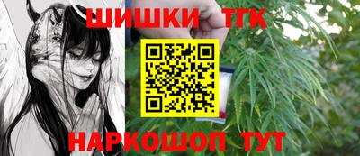 тгк Лесосибирск