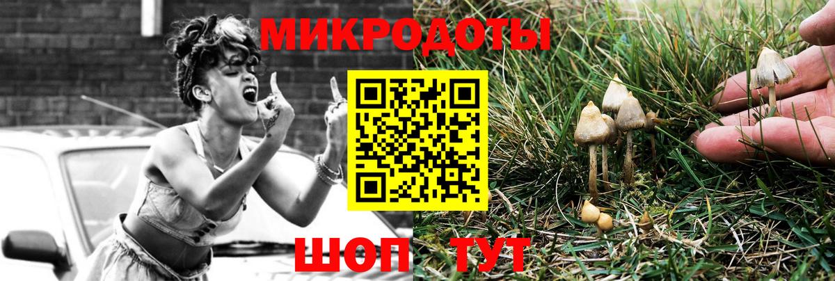 Галлюциногенные грибы Psilocybine cubensis Златоуст