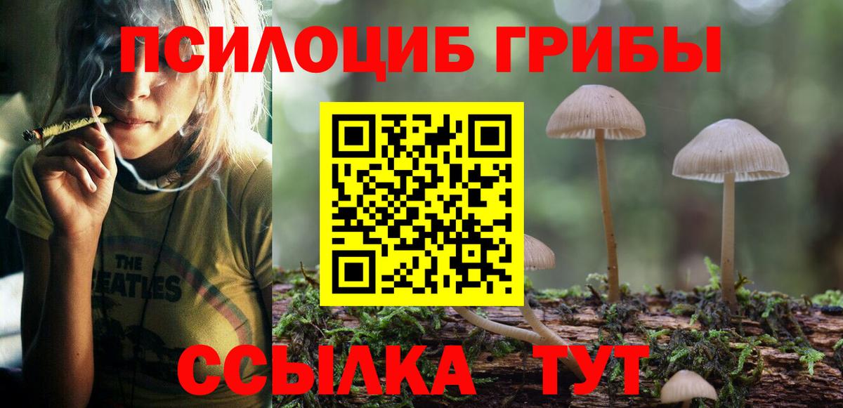 Галлюциногенные грибы прущие грибы  Вход с VPN  Златоуст 